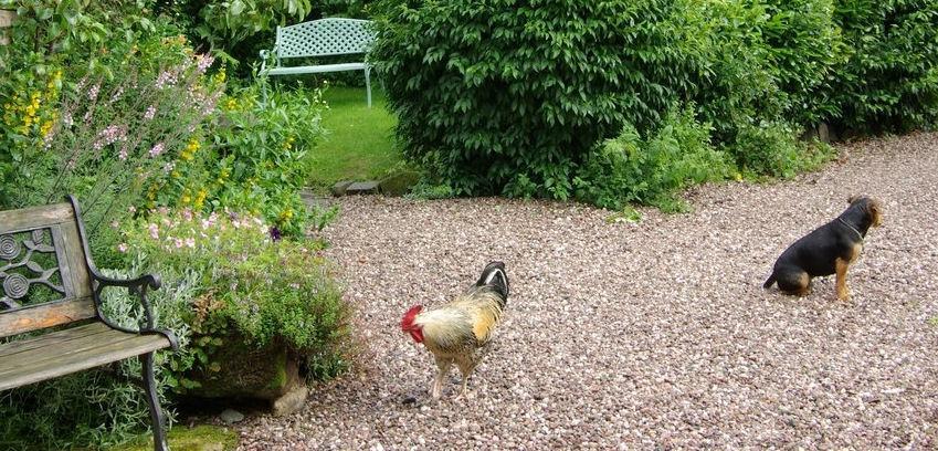 Parrs Cottage Wollaston  Bagian luar foto